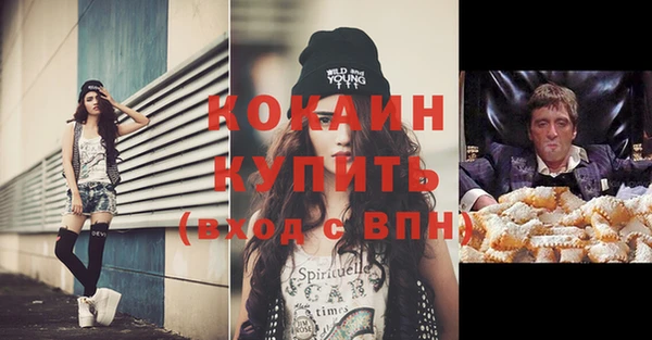 индика Армянск